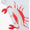 216709-CRABSTRIPE-2556_4a.jpg