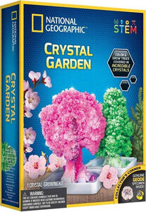 National Geographic Crystal Garden Experimentierset