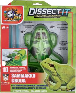 Dissect It Science Kit Experimentierkasten Frosch