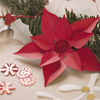 97JULDIY-085-3831_4b.jpg