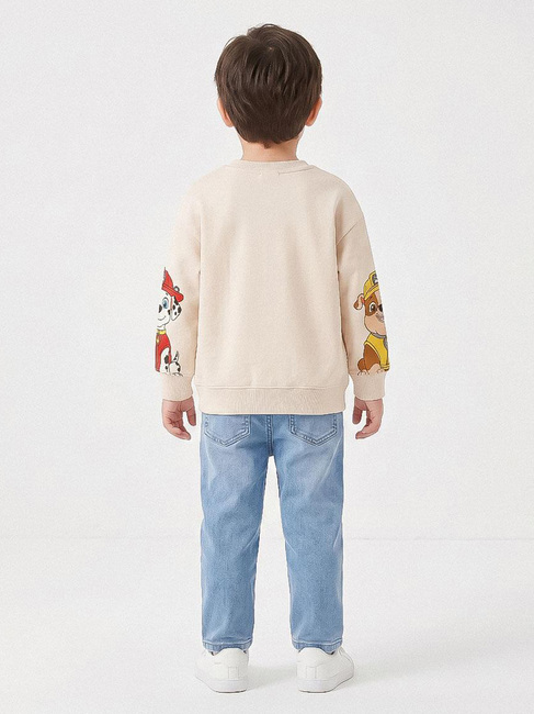 Paw Patrol Pullover, Beige 2900003551-76-4656_5b.jpg