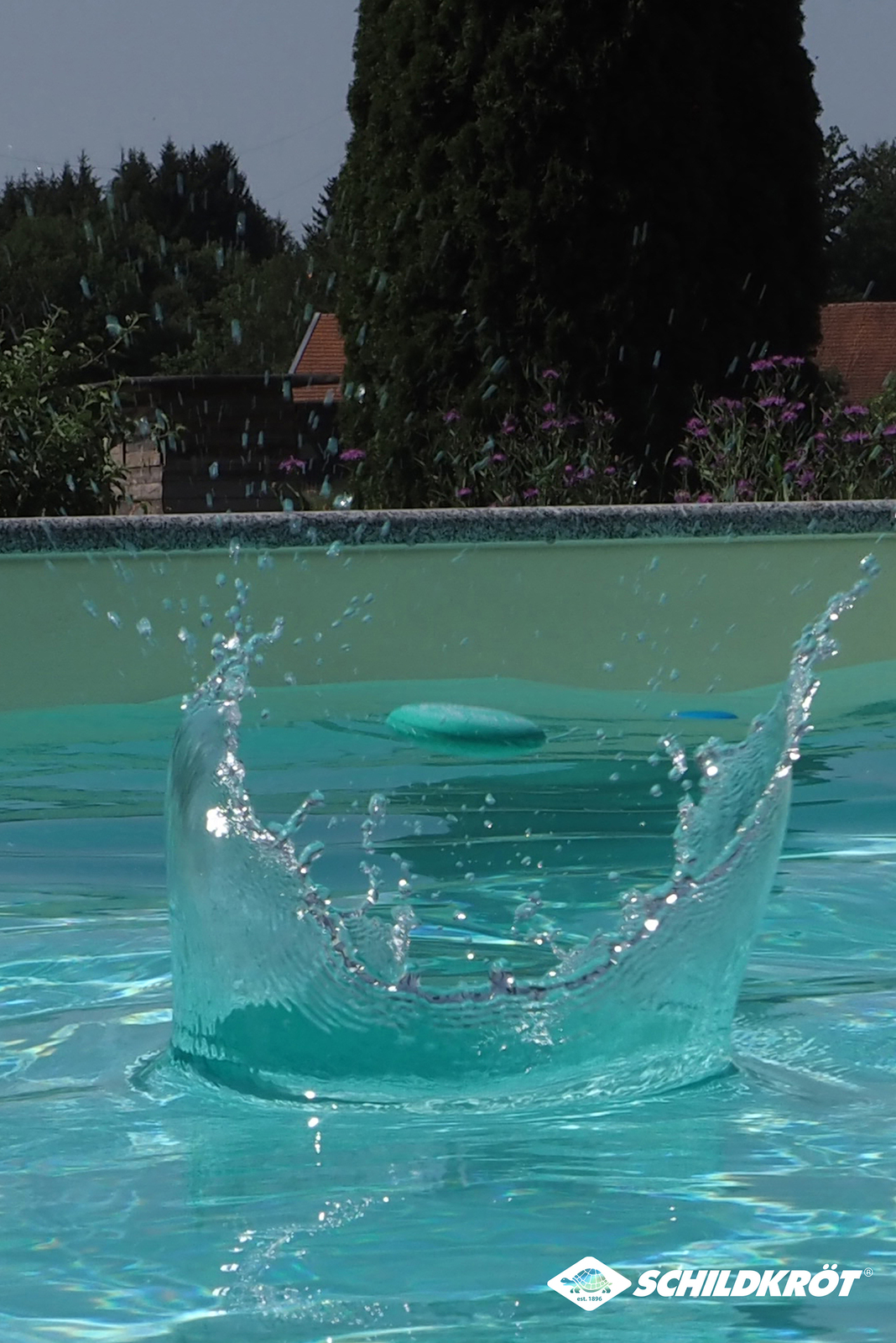 970297-4796_4b.jpg