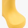 3807-Sunflower-4548_3d.jpg
