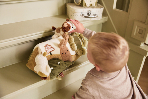 Jollein Aktivitätsdreieck, Tiny Park