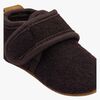 20028-Raisin-4548_4d.jpg