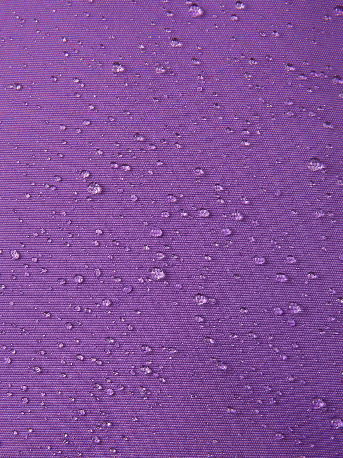 5100053A-5960-1557_4d.jpg