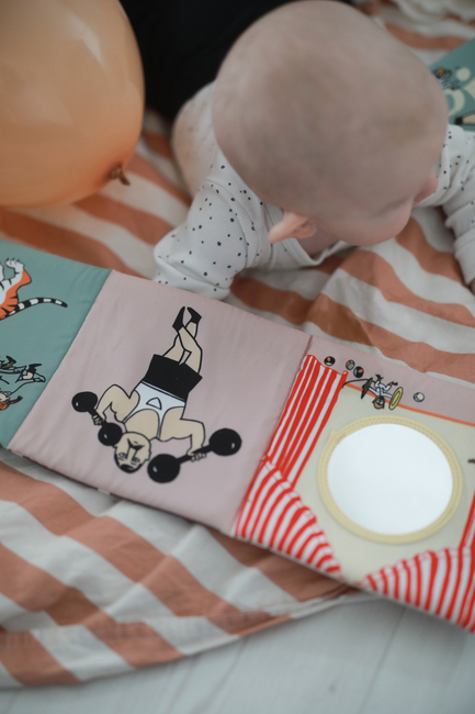 Pippi Langstrumpf  Zirkus Spielbuch