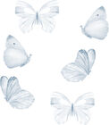 That's Mine Wallsticker Butterfly 6er-Pack, Blue